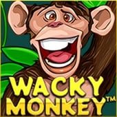 Wacky Monkey